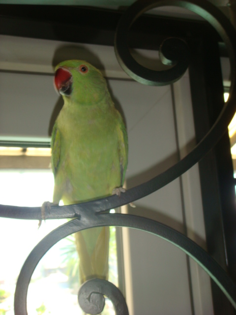 DSC08602.JPG