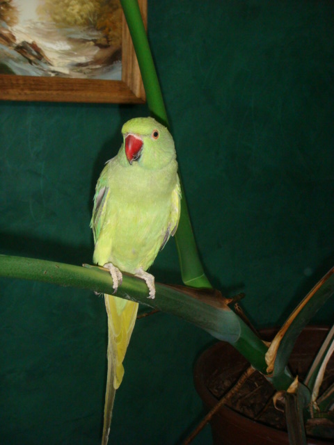 DSC08607.JPG