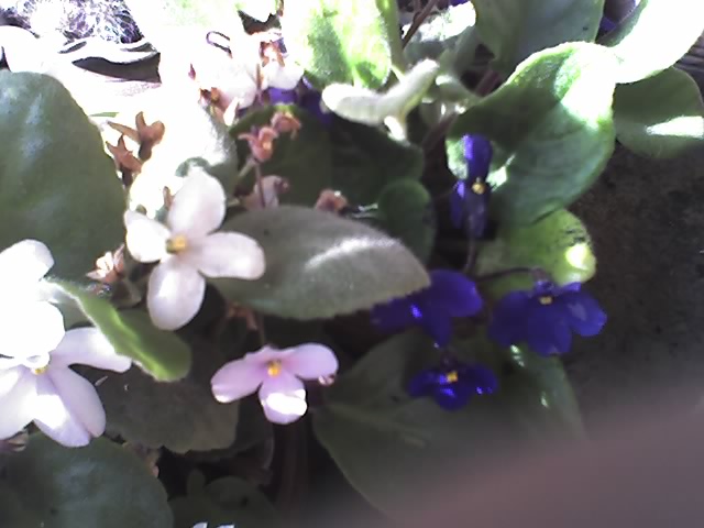 10_09_09_0938.jpg