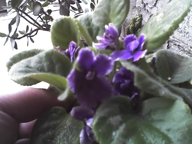 02_08_09_1517.jpg