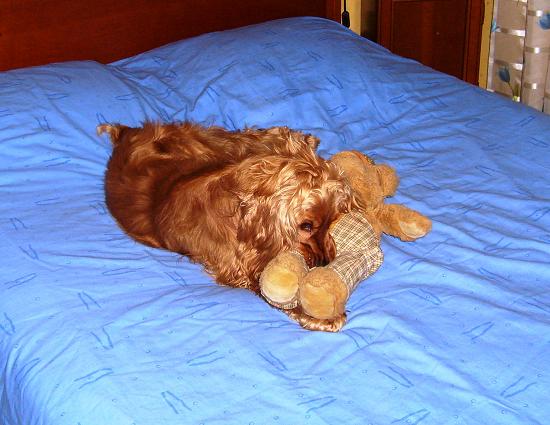 Photo_492.jpg
