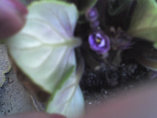 10_09_09_0940.jpg