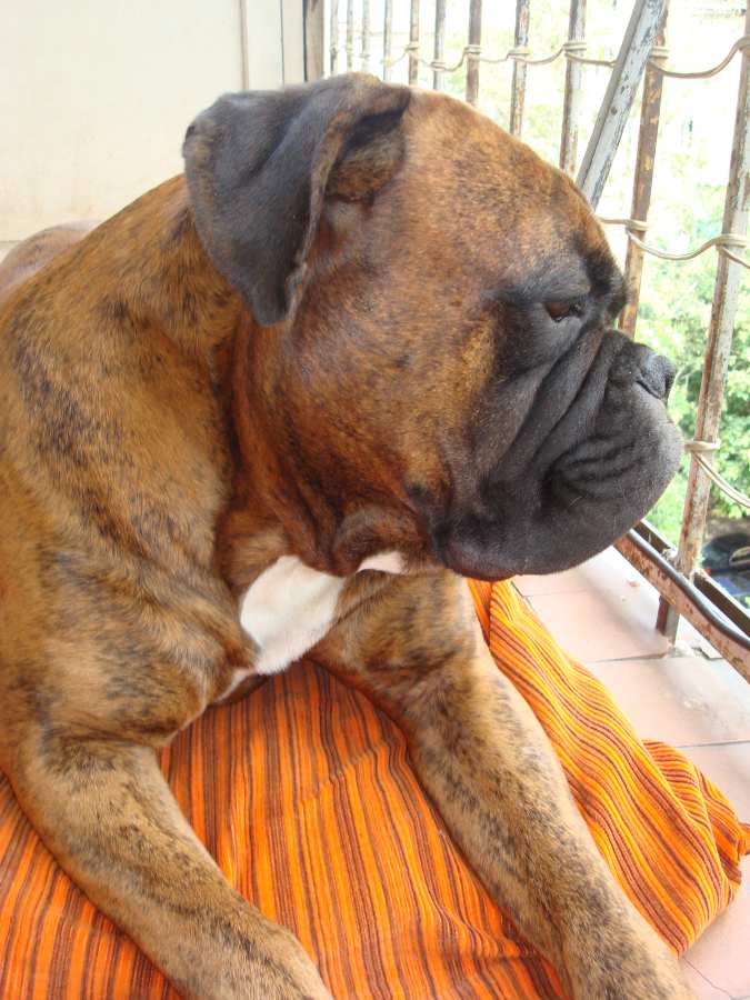 busuna.jpg