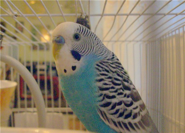 4ed80f8267ee.jpg