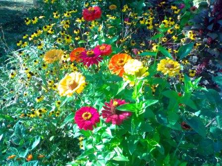 Copy_of_09262009921.jpg