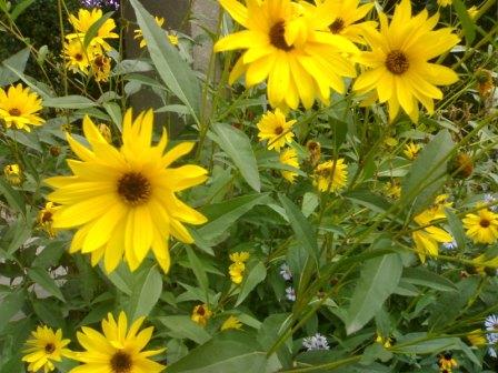 Copy_of_09272009953.jpg