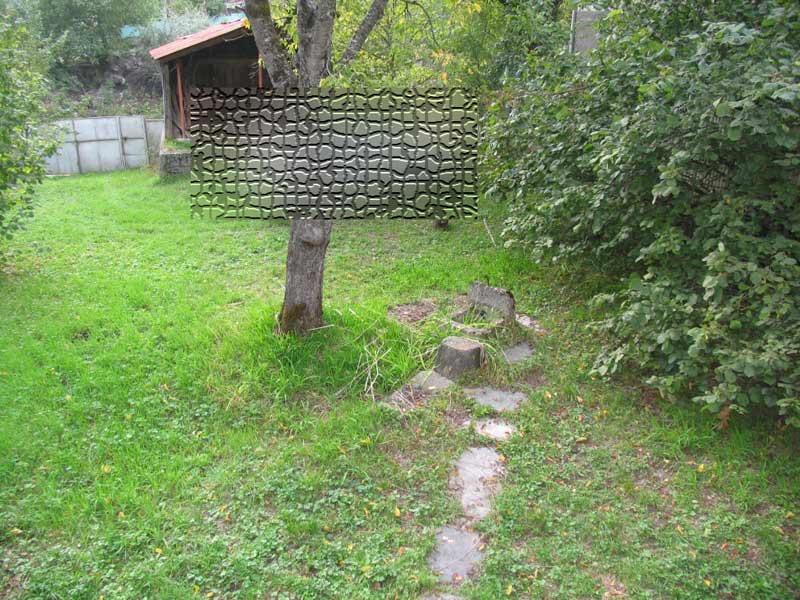 123.jpg