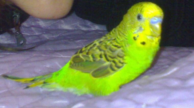 020320092502_1_12.jpg