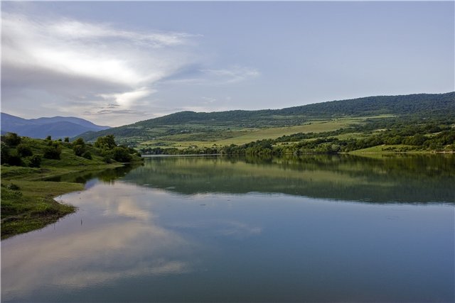 f2898229a773.jpg
