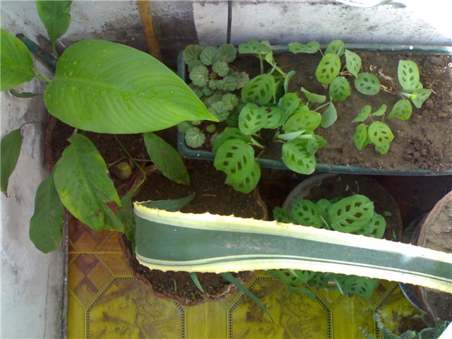 0022d1dfec82.jpg