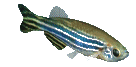 48e4d89f3a06.gif