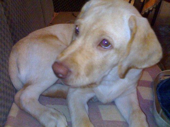 270920081397.jpg