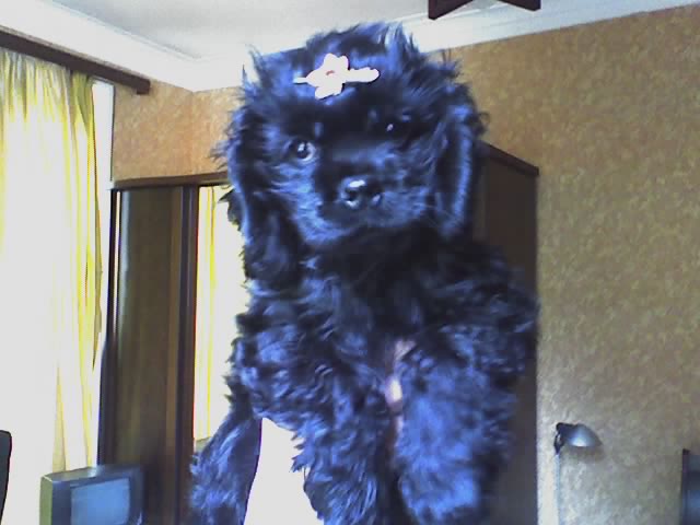 25_11_09_1442.jpg