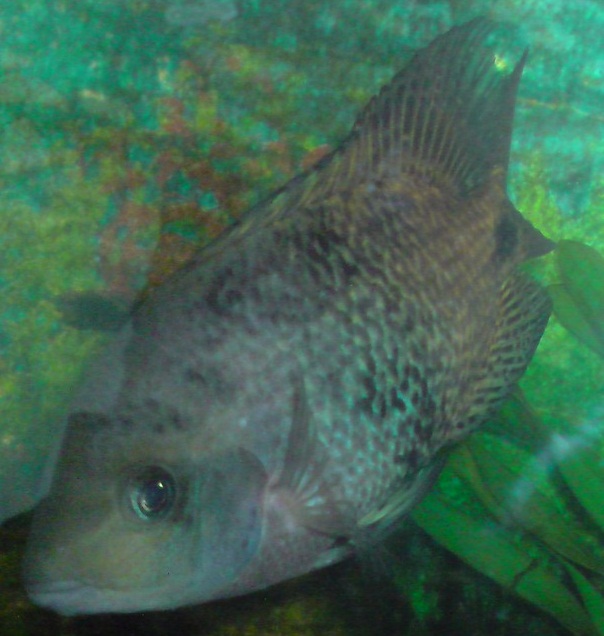P081209_14.00_01_.jpg