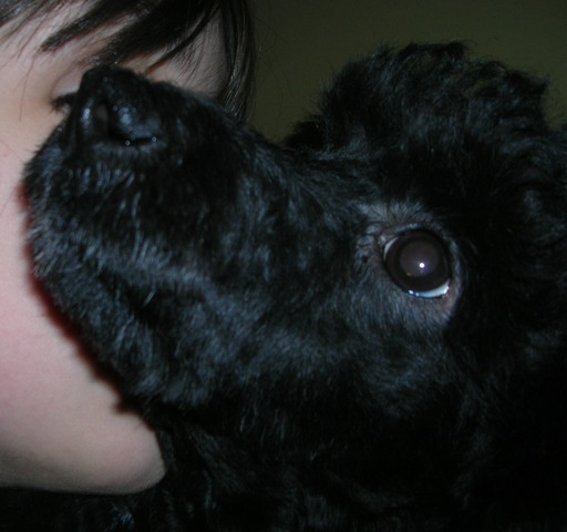 DSCN0631.JPG