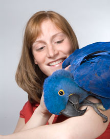 hyacinth1.jpg