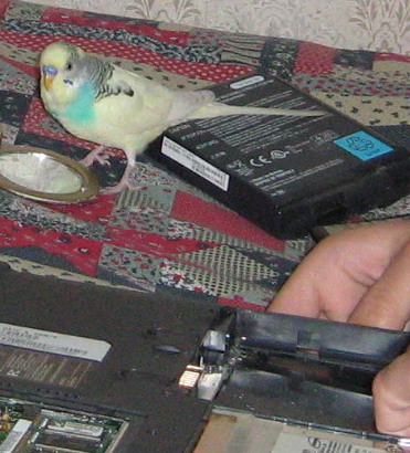 tutu_da_kompi_IMG_1838a.jpg