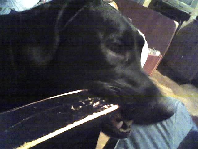 29_11_06_1808.jpg