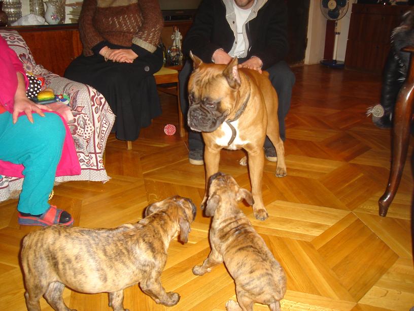 Picture_021.JPG