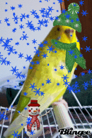 552925338_993232aaaa.gif