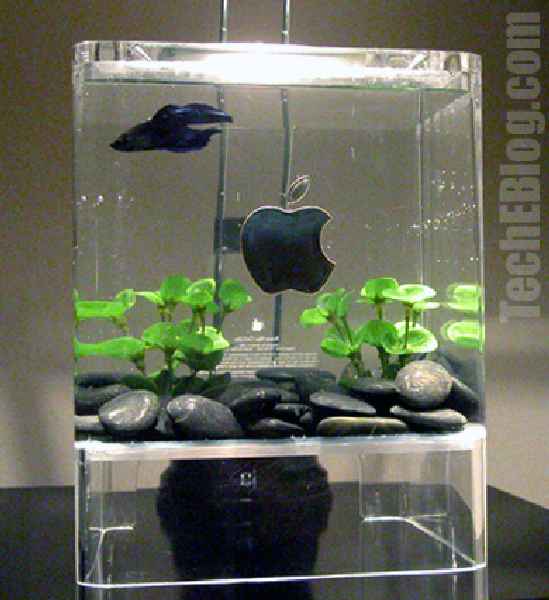 apple_aquarium__549x600_.jpg