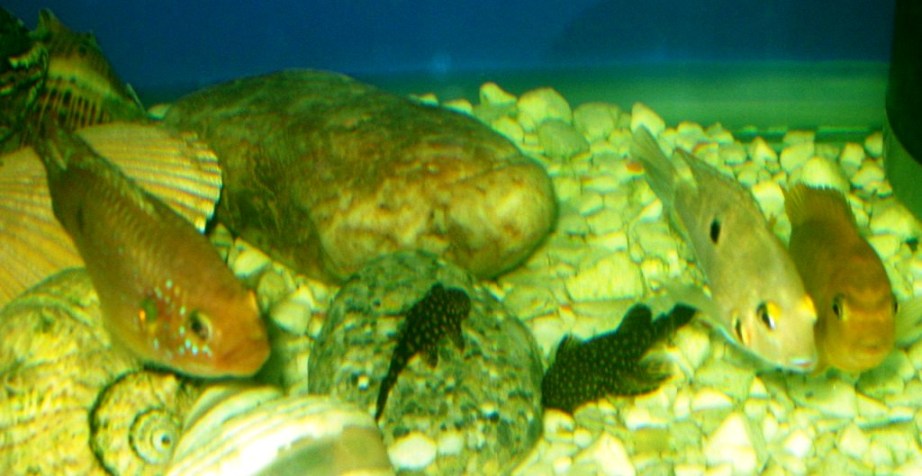P1015079.JPG