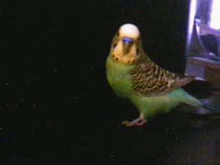 Picture_010.jpg