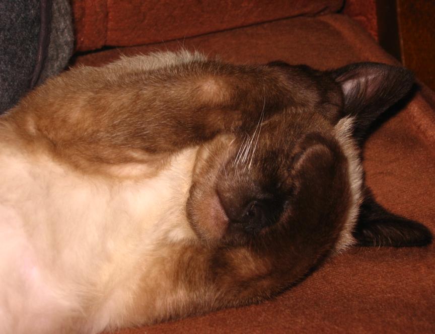 mibu.JPG