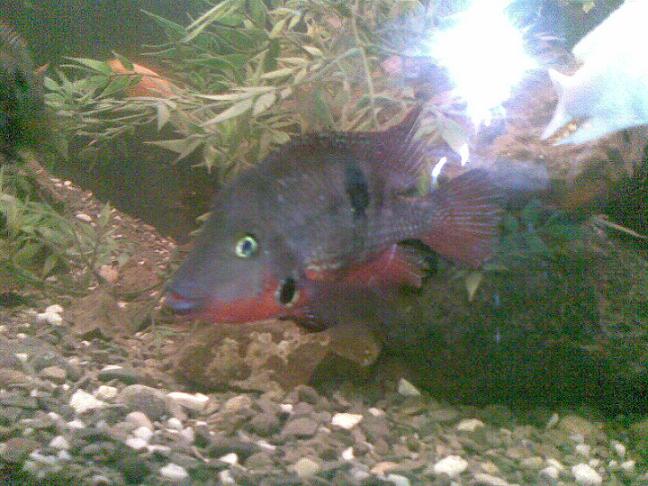 19032010_007_.jpg