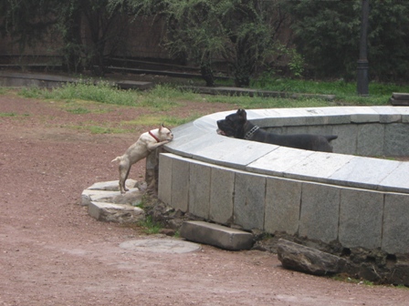 IMG_6865.jpg