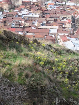 IMG_4003___.jpg
