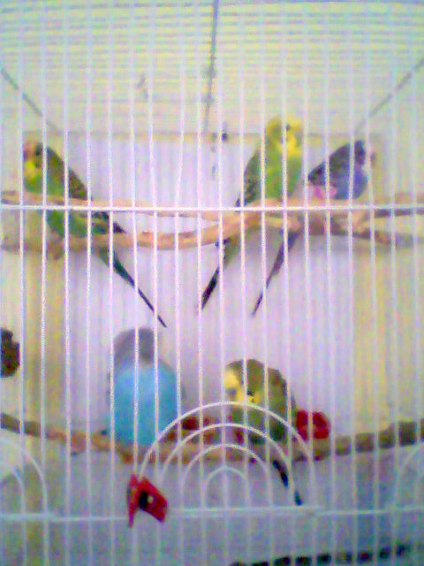 Photo_0002.jpg
