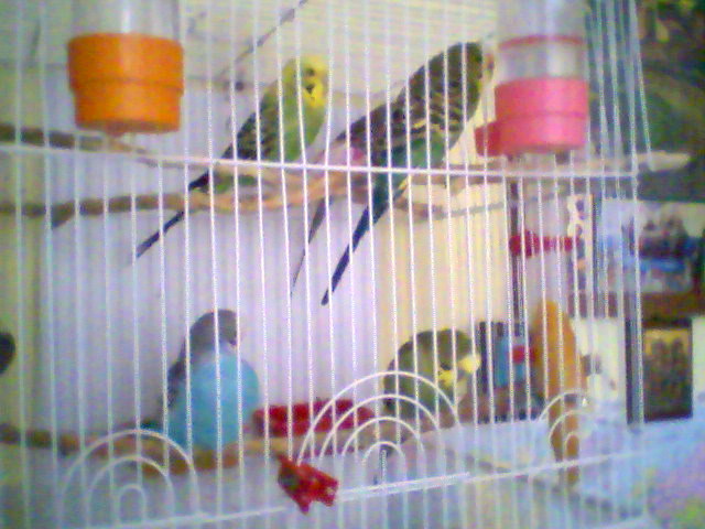 Photo_0001.jpg