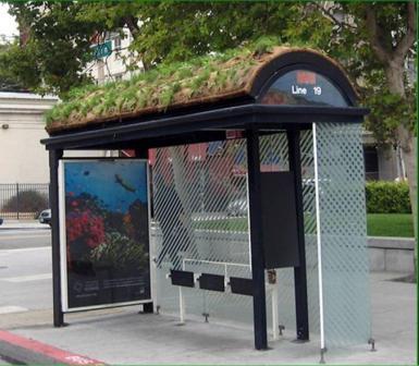 green_roof_bus_shelter1.jpg