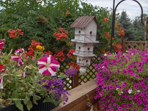 bird_house__large_msg_118514815083.jpg