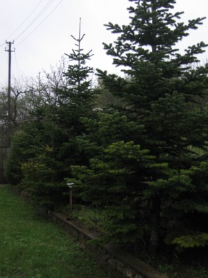IMG_4024___.jpg