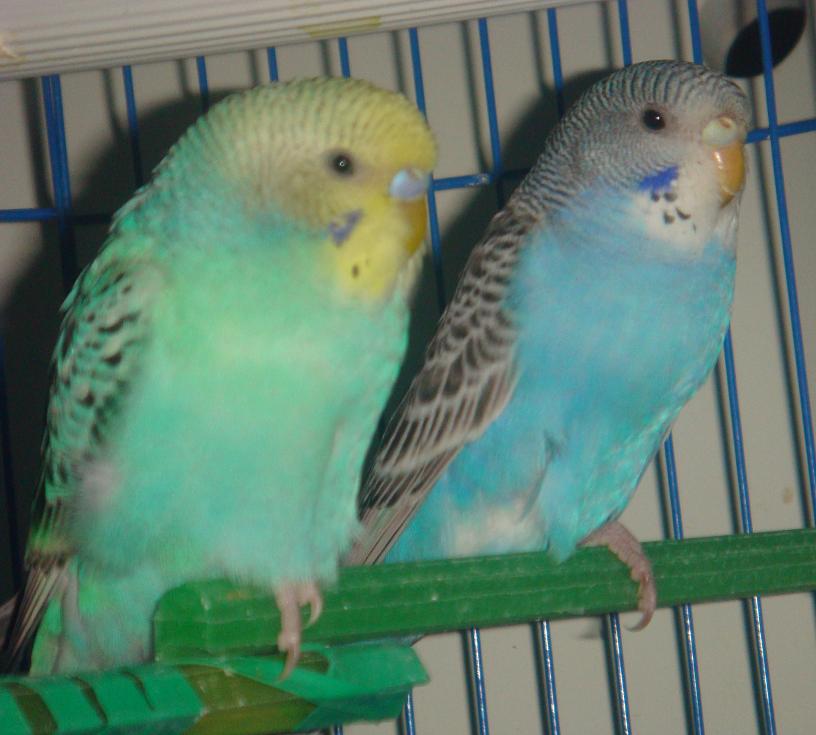 DSC00088.JPG
