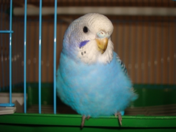 DSC04111.JPG