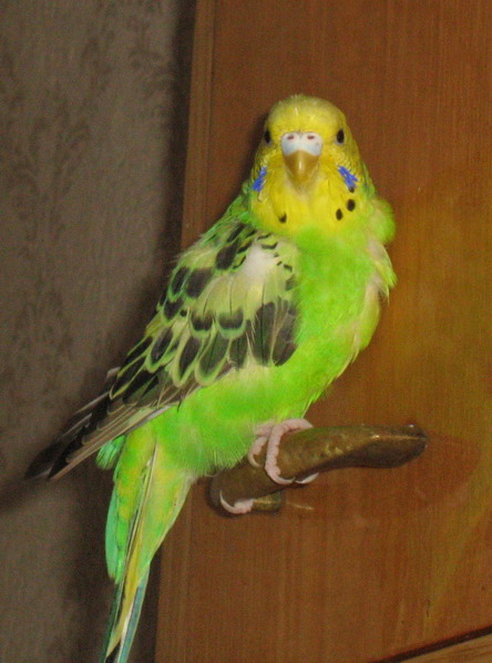 tasiko__1__012.jpg