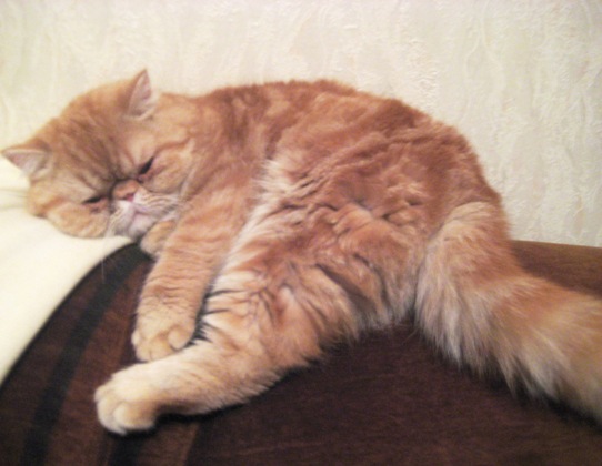 Picture_107.jpg