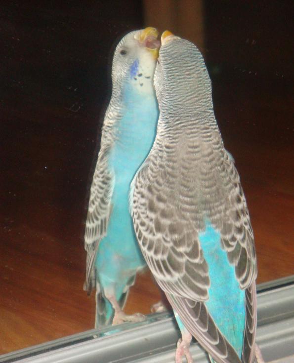 DSC00263.JPG
