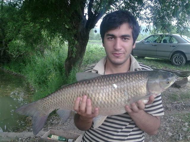 Image019__Small_.jpg
