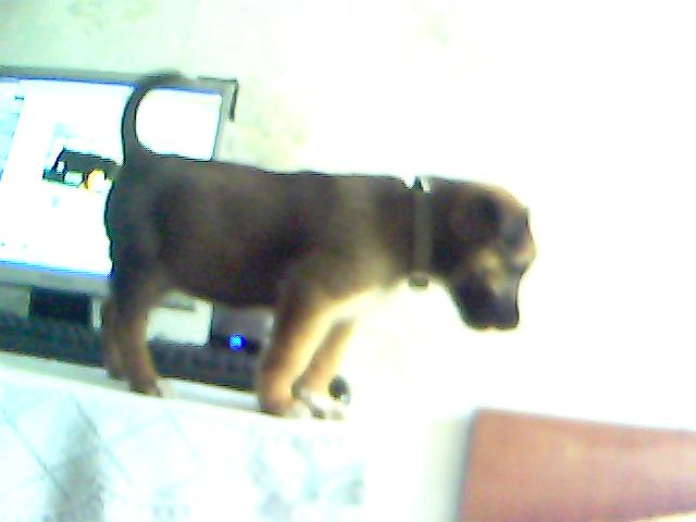 Picture_019.jpg