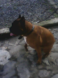 IMG0039A.jpg