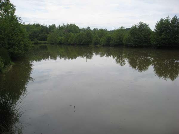 IMG_1813__3.jpg