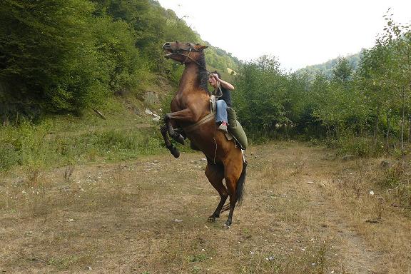 nasz_wspolna_znajoma_z_Facebooka.jpgooooooooooo.jpg