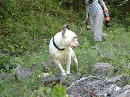130620102847.jpg