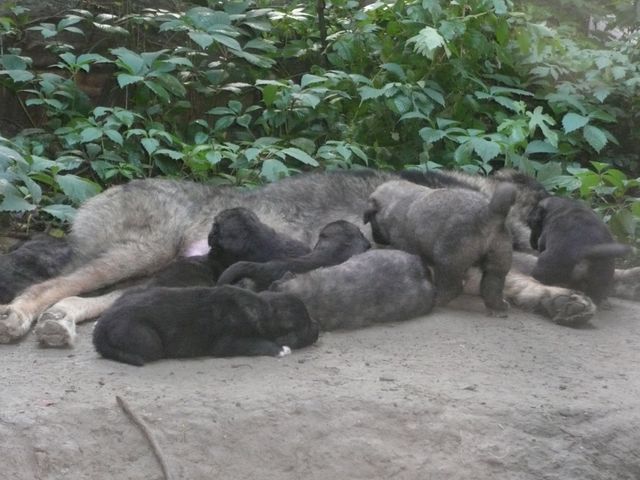 P1080324__640x480_.JPG