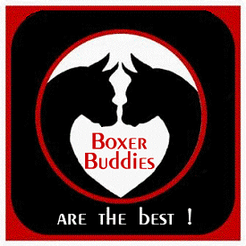 BBLogo1.gif