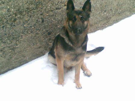 05012008_004_.jpg